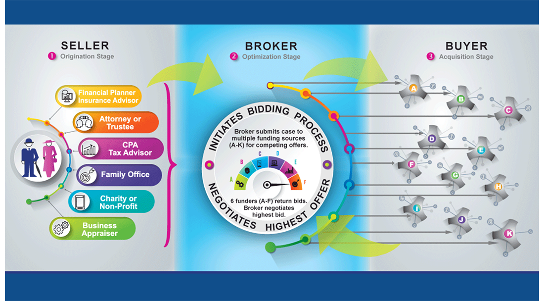 The Life Settlement PRocess Graphic outlook